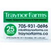 gift card 25